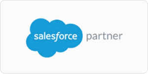 Salesforce partner